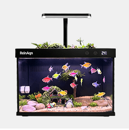 产品1