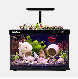 产品2