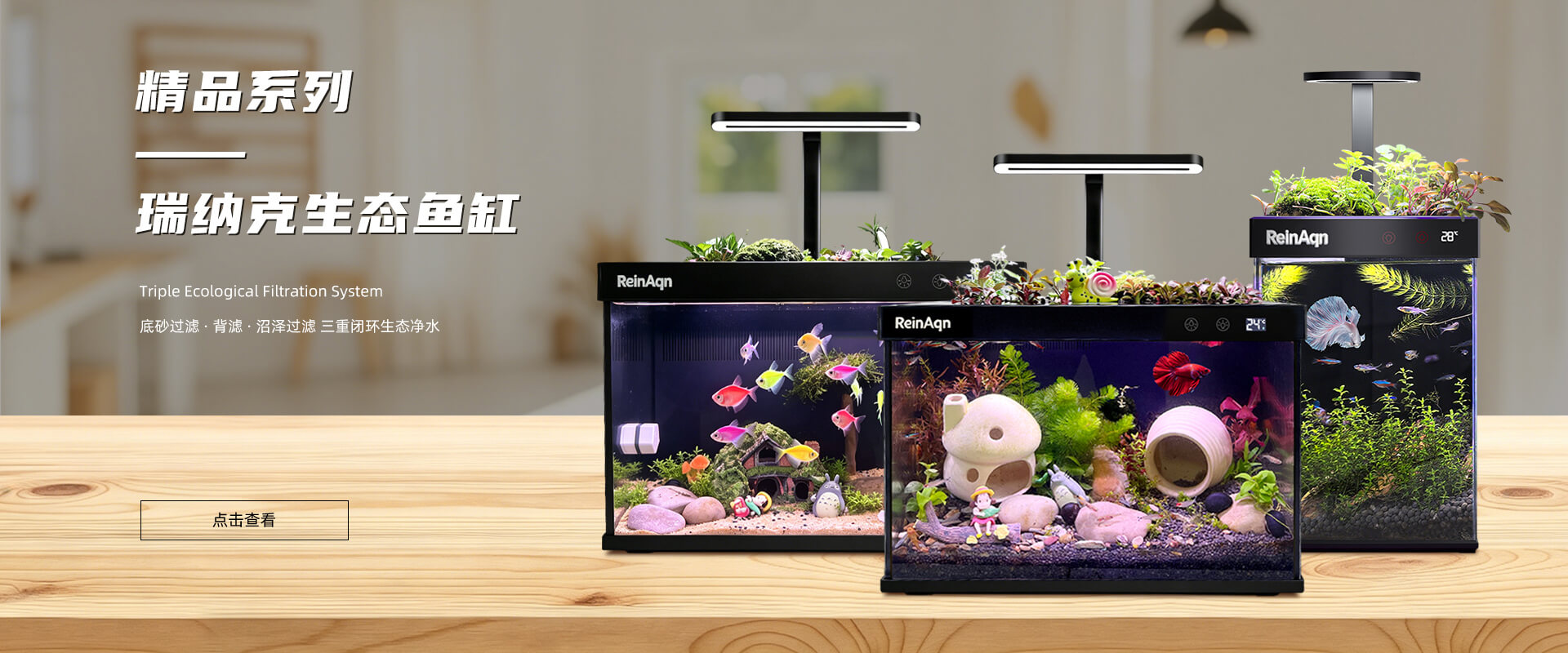 首页轮播图